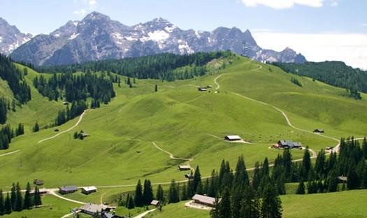 Fewo Schlosspark Grubhof Занкт-Мартін-бай-Лофер Екстер'єр фото